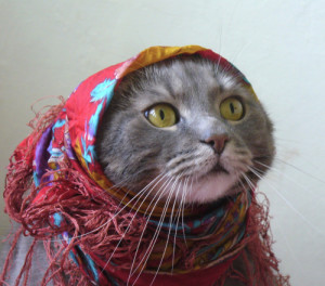 cat bubushka
